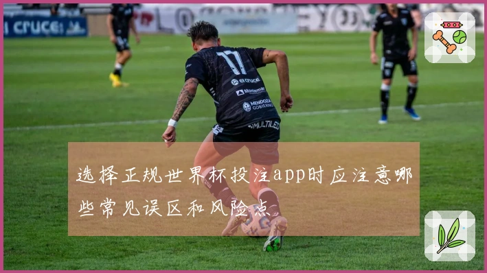 选择正规世界杯投注app时应注意哪些常见误区和风险点