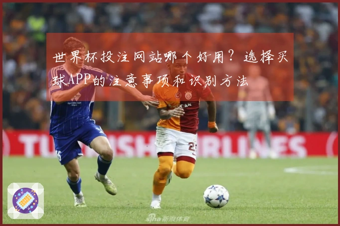世界杯投注网站哪个好用？选择买球APP的注意事项和识别方法